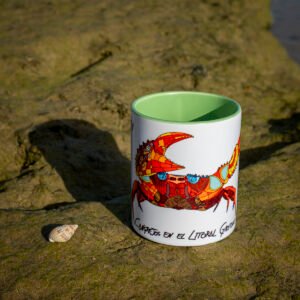 Tazas Colores