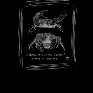 Camiseta Manga Corta Femenina  Cuello Redondo Serigrafía Blanca o Negra Pareja de Cangrejos
