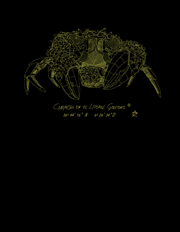 Camiseta Manga Corta Femenina  Cuello Redondo Serigrafía Oro Cangreja - Imagen 2