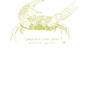 Camiseta Manga Corta Unisex Serigrafía Oro Cangrejo