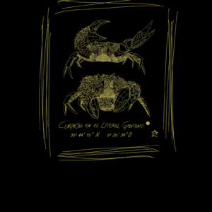Camiseta Manga Corta Unisex Serigrafía Oro Pareja de Cangrejos