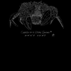 Camiseta Manga Corta Femenina  Cuello Redondo Serigrafía Plata Cangreja