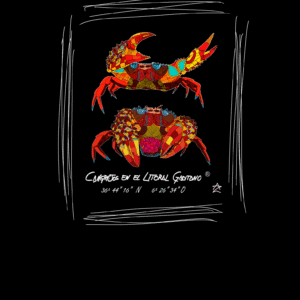 Camiseta Manga Corta Femenina  Cuello Redondo Impresión Digital Colores Pareja de Cangrejos