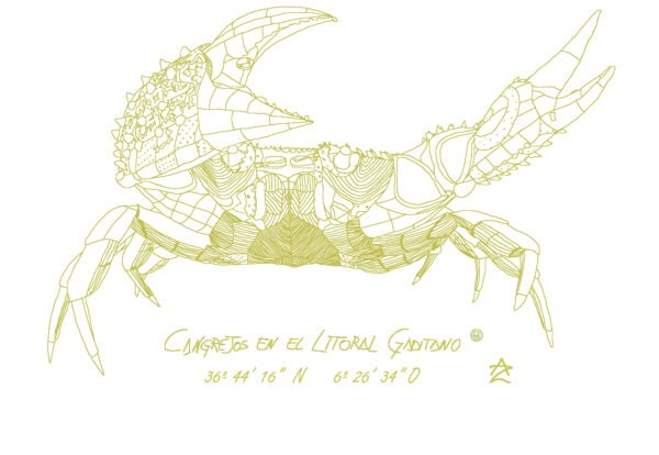 Camiseta Manga Corta Femenina  Cuello Redondo Serigrafía Oro Cangrejo - Imagen 3