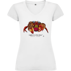 Camiseta Manga Corta Femenina Cuello Pico Impresión Digital Colores Cangreja