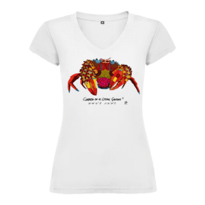 Camiseta Manga Corta Femenina | Cuello Pico | Cangreja colores