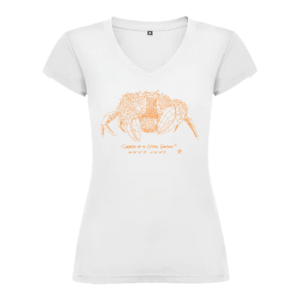 Camiseta Manga Corta Femenina | Cuello Pico | Cangreja óxido