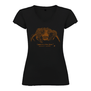 Camiseta Manga Corta Femenina | Cuello Pico | Cangreja óxido