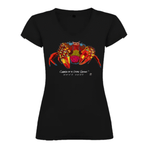 Camiseta Manga Corta Femenina | Cuello Pico | Cangreja colores