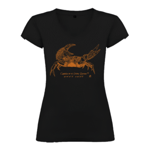 Camiseta Manga Corta Femenina | Cuello Pico | Cangrejo óxido