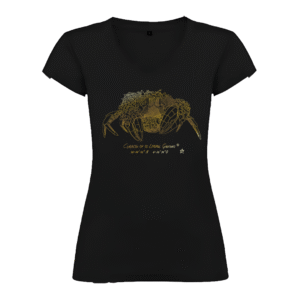 Camiseta Manga Corta Femenina | Cuello Pico | Cangreja dorada