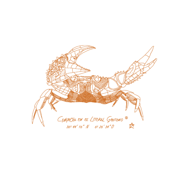 Camiseta manga corta infantil | Cangrejo óxido - Imagen 3