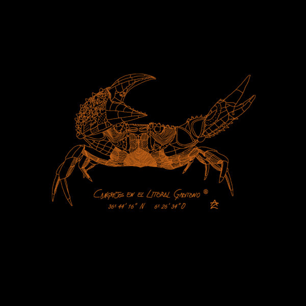 Camiseta manga corta infantil | Cangrejo óxido - Imagen 4