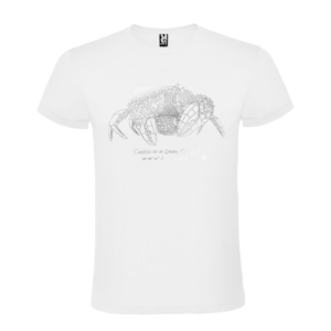 Camiseta manga corta infantil | Cangreja plata