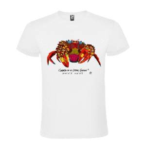 Camiseta manga corta infantil | Cangreja color