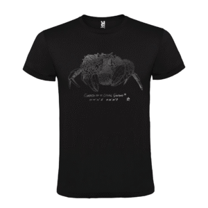 Camiseta manga corta infantil | Cangreja plata