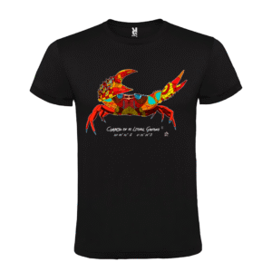 Camiseta manga corta infantil | Cangrejo colores