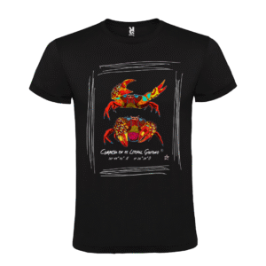 Camiseta manga corta infantil | Pareja de cangrejos colores
