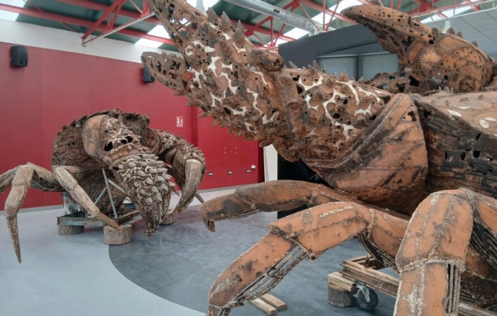 Nueva ubicación de Los Cangrejos de Chipiona en el palacio de ferias y exposiciones de Chipiona